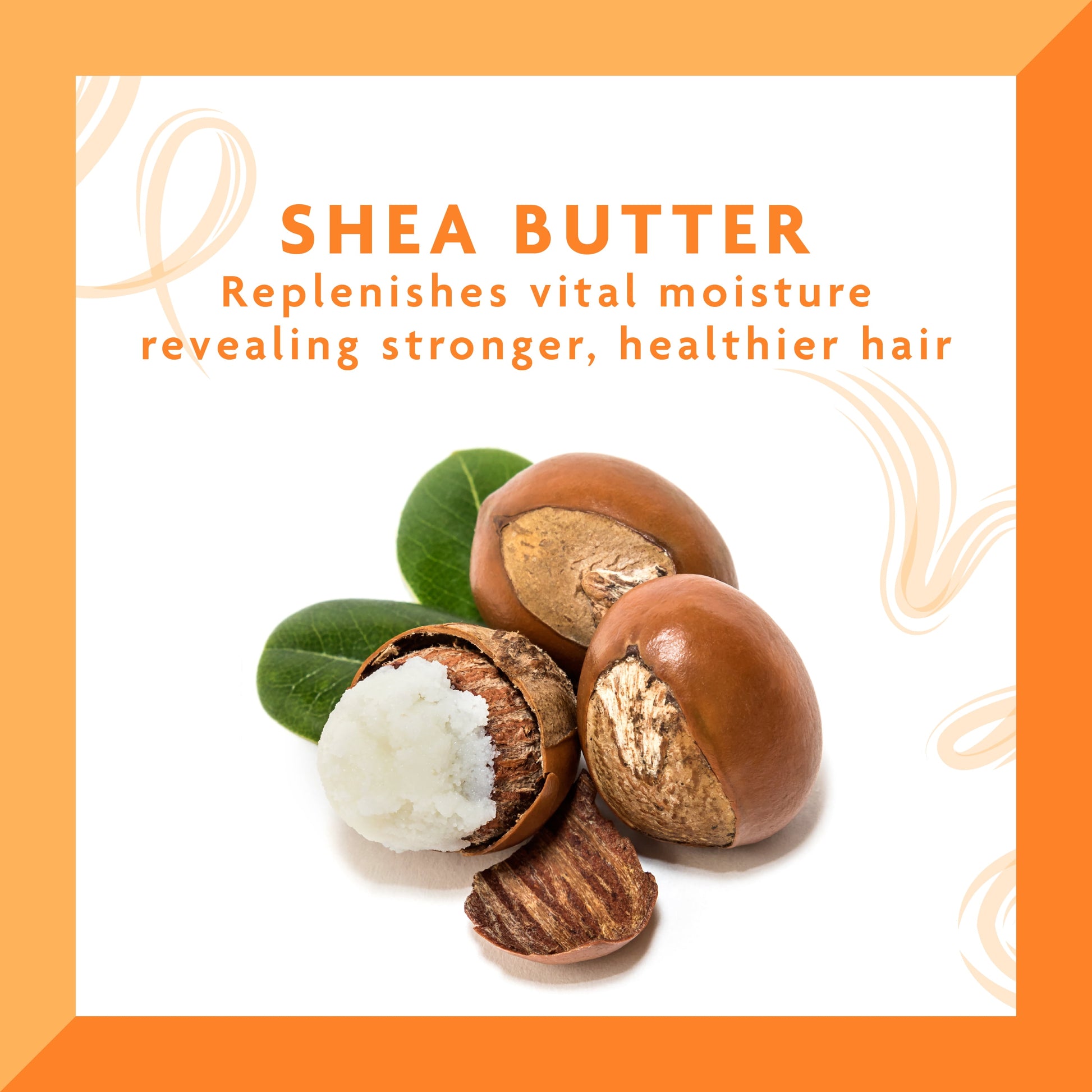 Shea Butter Hair Dressing Pomade 4 Oz